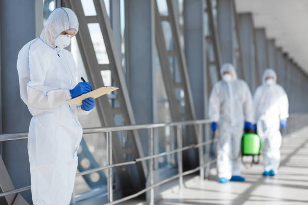 Best Mold Prevention Services  in Vincent, AL