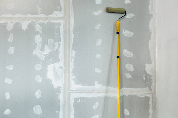 Best Mold Removal for HVAC Installations  in Vincent, AL