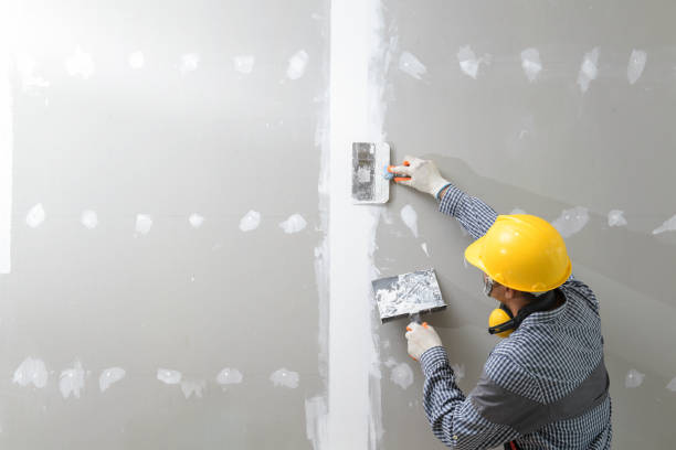 Best Forensic Mold Investigation  in Vincent, AL