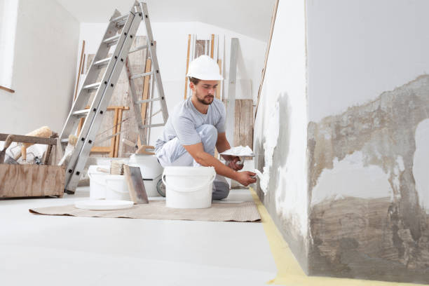 Forensic Mold Investigation in Vincent, AL