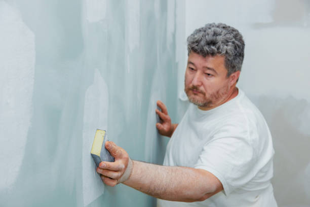 Best Post-Construction Mold Inspection  in Vincent, AL