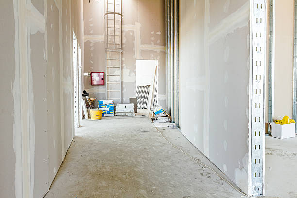 Best Basement Mold Removal  in Vincent, AL